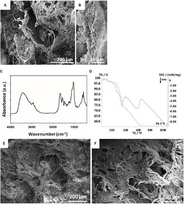 Bioinspired Scaffold Action Under the Extreme Physiological Conditions of Simulated Space Flights: Osteogenesis Enhancing Under Microgravity
